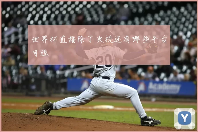世界杯直播除了央视还有哪些平台可选