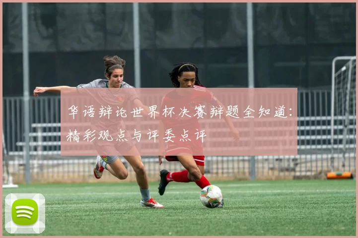 华语辩论世界杯决赛辩题全知道：精彩观点与评委点评