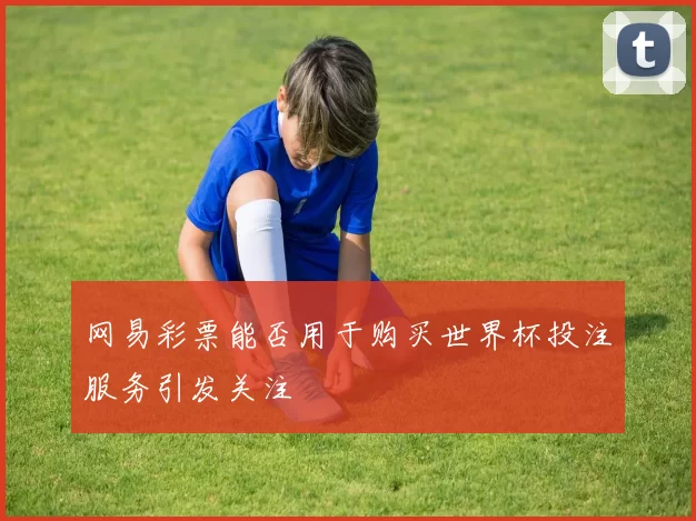 网易彩票能否用于购买世界杯投注服务引发关注