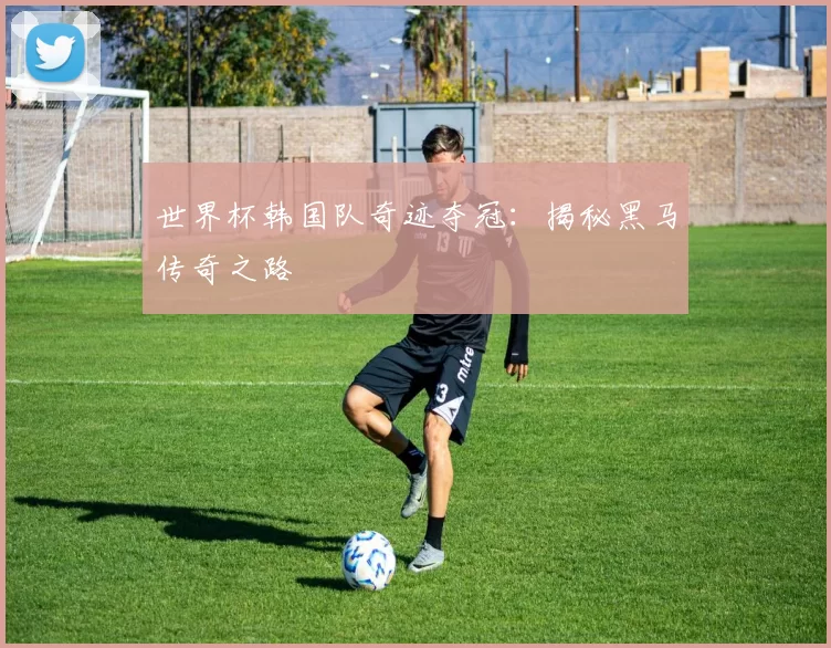 世界杯韩国队奇迹夺冠：揭秘黑马传奇之路