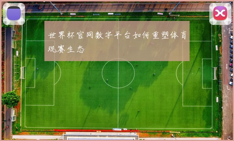 世界杯官网数字平台如何重塑体育观赛生态