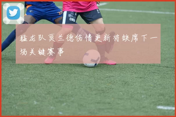 猛龙队莫兰德伤情更新将缺席下一场关键赛事