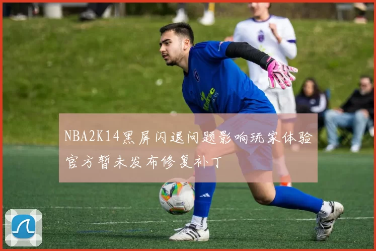 NBA2K14黑屏闪退问题影响玩家体验官方暂未发布修复补丁