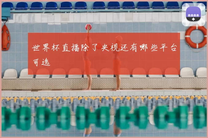 世界杯直播除了央视还有哪些平台可选
