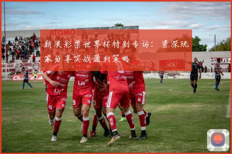 新浪彩票世界杯特别专访：资深玩家分享实战盈利策略