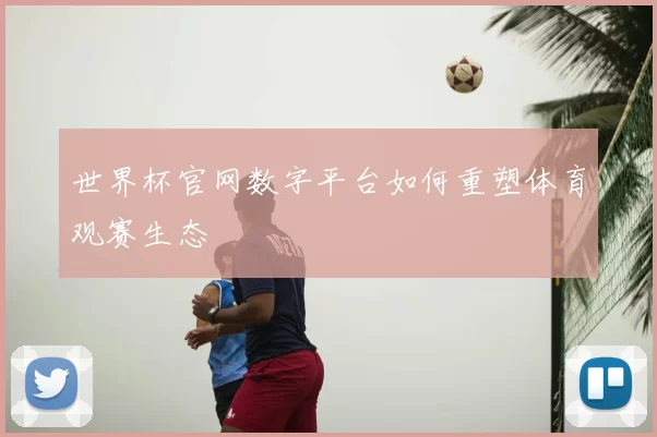 世界杯官网数字平台如何重塑体育观赛生态