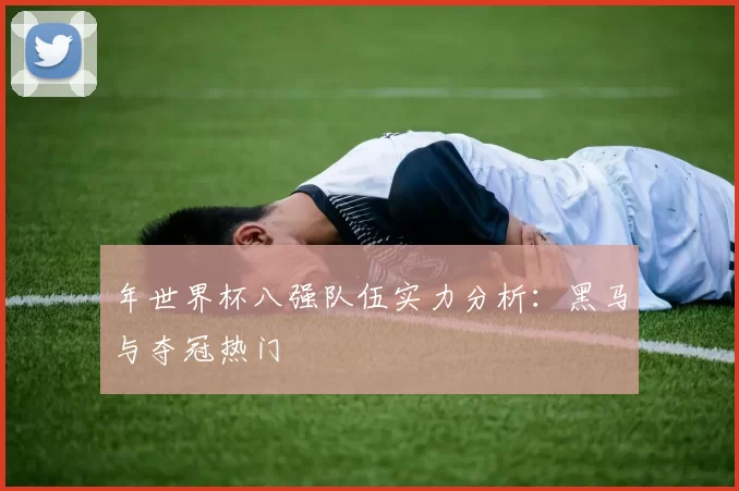 年世界杯八强队伍实力分析：黑马与夺冠热门