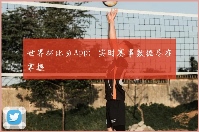 世界杯比分App：实时赛事数据尽在掌握