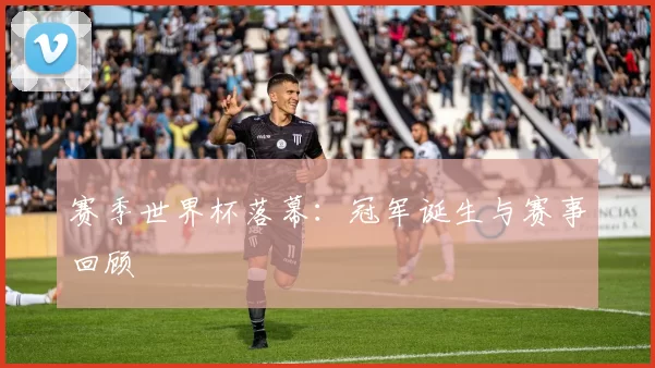 赛季世界杯落幕：冠军诞生与赛事回顾